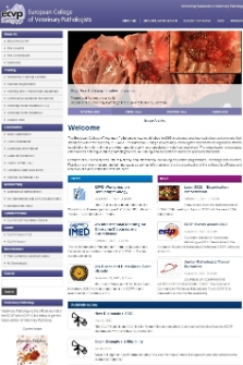 European College of Veterinary Pathologists