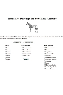 Interactive drawings for veterinary anatomists