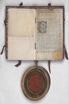 Dokument króla Jana Kazimierza zawierający nadanie indygenatu Hieronimowi Pinocciemu