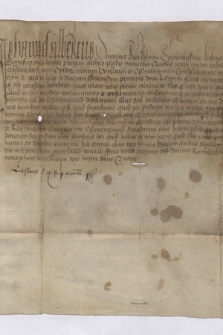 Dokument króla Jana Olbrachta zawierający rozstrzygnięcie sporu o prawo sprzedaży soli w Oświęcimiu przez mieszczan wielickich