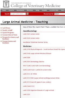 Large Animal Medicine - Teaching
