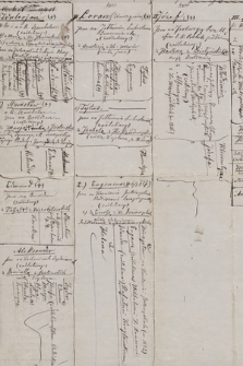 Fragmenty materiałów genealogicznych rodziny Dzieduszyckich