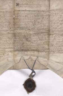 Dokument króla Zygmunta Augusta zatwierdzający Wasylowi Iwaniczowi Siegieniewiczowi posiadanie dóbr w starostwie bielskim