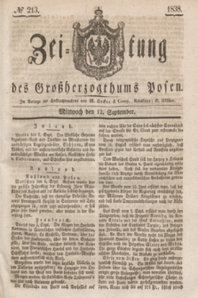 Zeitung des Großherzogthums Posen. 1838, № 213 (12 September)