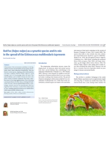 Red fox (Vulpes vulpes) as a synurbic species and its role in the spread of the Echinococcus multilocularis tapeworm