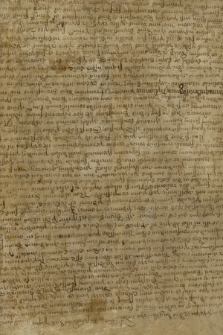 Itinerarius. Peregrinatio comitis palatii Ludovici III ad Terram Sanctam a. 1426/1427 peracta