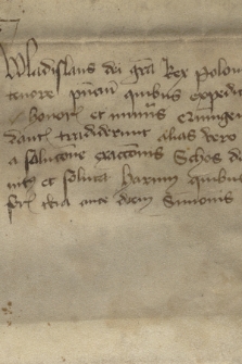 Dokument króla Władysława Jagiełły dotyczący zwolnienia miasta Krakowa za udzieloną mu pożyczkę od szosu na rok 1391