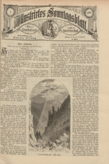 Illustrirtes Sonntagsblatt : zur Unterhaltung am häuslichen Herd. 1885, Nr. 2 ([11 Januar])