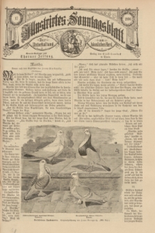 Illustrirtes Sonntagsblatt : zur Unterhaltung am häuslichen Herd. 1896, Nr. 17 ([26 April])