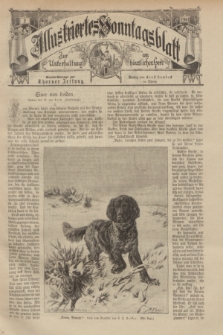 Illustriertes Sonntagsblatt : zur Unterhaltung am häuslichen Herd. 1901, Nr. 2 ([13 Januar])
