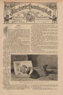 Illustriertes Sonntagsblatt : zur Unterhaltung am häuslichen Herd. 1901, nr 45 ([10 November])