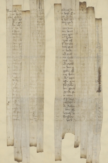 Dokument Winrycha von Kniprode, wielkiego mistrza zakonu krzyżackiego, związany z lokacją miasta Nidzicy na prawie chełmińskim