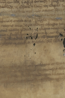 Fragment dokumentu oficjała praskiego dotyczący prawdopodobnie obsady wakującej kanonii w Pradze