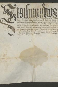 Dokument króla Zygmunta I zezwalający Leonardowi Pieczychowskiemu, lekarzowi królewskiemu, na wykup królewskiej wsi Szaniów