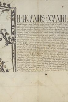 Dokument króla Zygmunta I zawierający transumpt dokumentu króla Władysława Jagiełły z 27 marca 1419 w Nowym Sączu, dotyczącego nadania Matiaszowi Czarnemu ze Zboisk wsi Brzozowa (Lobetancz)