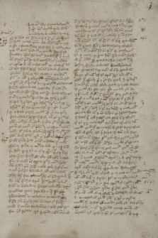 Quaestiones super libris VI-IX Ethicae Nicomacheae Aristotelis