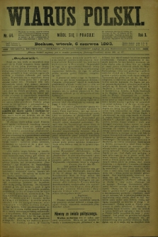 Wiarus Polski. R.3, nr 64 (6 czerwca 1893)