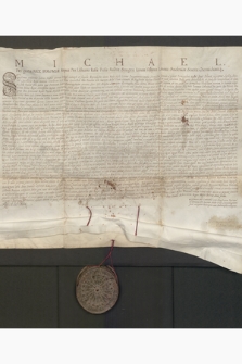 Dokument króla Michała Korybuta Wiśniowieckiego potwiedzający i transumujący wcześniejsze dokumenty dotyczące ugody pomiędzy mieszczaninem krakowskim Janem Mollerem a rajcami wielickimi