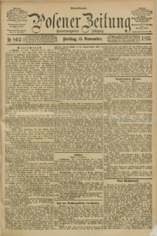 Posener Zeitung. Jg.102, Nr. 803 (15 November 1895) - Abend=Ausgabe.