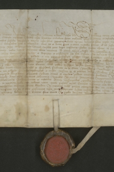 Dokument króla Kazimierza Jagiellończyka zawierający przywilej dla rzeźników krakowskich na pędzenie wołów z Rusi do Krakowa bez opłat celnych