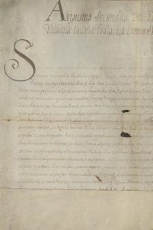 Dokument króla Augusta II zawierający potwierdzenie transakcji kupna-sprzedaży kamienicy zw. Cerynowską na rynku w Krzepicach