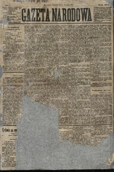 Gazeta Narodowa. 1880, nr 1