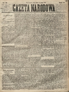 Gazeta Narodowa. 1881, nr 45