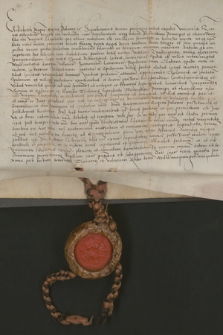 Dokument królowej Elżbiety Rakuszanki dotyczący scedowania części własnego uposażenia na rzecz córki - królewny Elżbiety - do czasu jej zamążpójścia