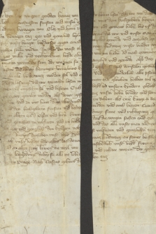 Fragment dokumentu Wacława I, księcia legnickiego, potwierdzającego układ z bratem Ludwikiem I, księciem brzeskim, prawdopodobnie w sprawie zasad dziedziczenia