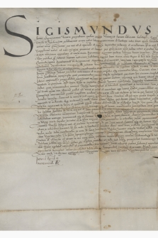 Dokument króla Zygmunta I potwierdzający dokument rozgraniczenia dóbr królewskich Wola Wielka, Wola Mała i Osiek a Niekrasowem i Turskiem