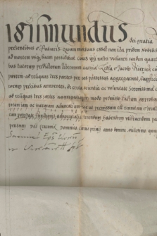 Dokument króla Zygmunta I zawierający zgodę na wykup przez mieszczan Wielunia czwartej części wójtostwa wieluńskiego i przyłączenie jej do pozostałych trzech części