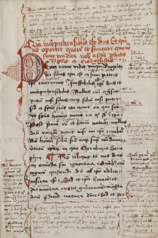 De fide orthodoxa a Burgundione de Pisa liber translatus cum glossis marginalibus manu Ioannis de Dambrowka