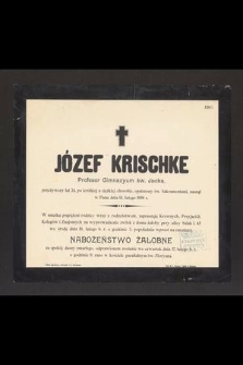 Józef Krischke Profesor Gimnazyum św. Jacka, przeżywszy lat 24 [...] zasnął w Panu dnia 14 lutego 1898 r.[...]