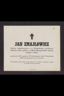 Jan Zmajłowicz Litwin [...] przeżywszy lat 63 [...] dnia 28 Października 1880 roku przeniósł się do wieczności [...]