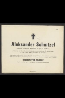 Aleksander Schnitzel [...], przeżywszy lat 42, [...], w d. 24 Lutego 1878 r. przeniósł się do wieczności