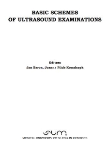 Basic schems of ultrasound examinations