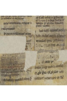 Liber de regimine acutorum morborum Hyppocratis a Galieno commentatus. Fragmentum: Lib. III c. 32-37, 42-43